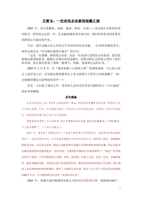 畅达集团王贵玉先进事迹