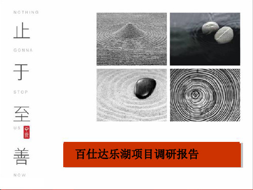 百仕达乐湖调研分析报告