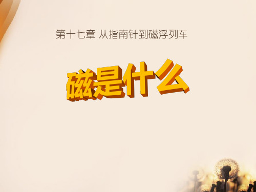 《磁是什么》从指南针到磁浮列车PPT课件2