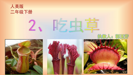 二年级下册美术课件吃虫草 人美版(秋) (共14张PPT)