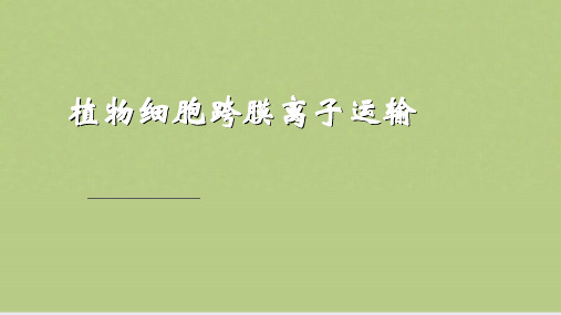 植物生理学B植物细胞跨膜离子运输