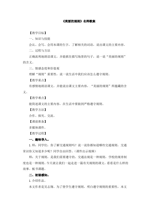 《美丽的规则》教案