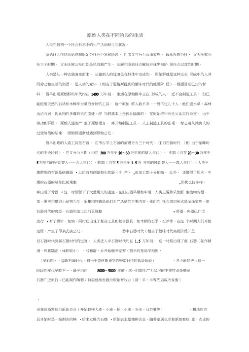 原始人类在不同阶段的生活