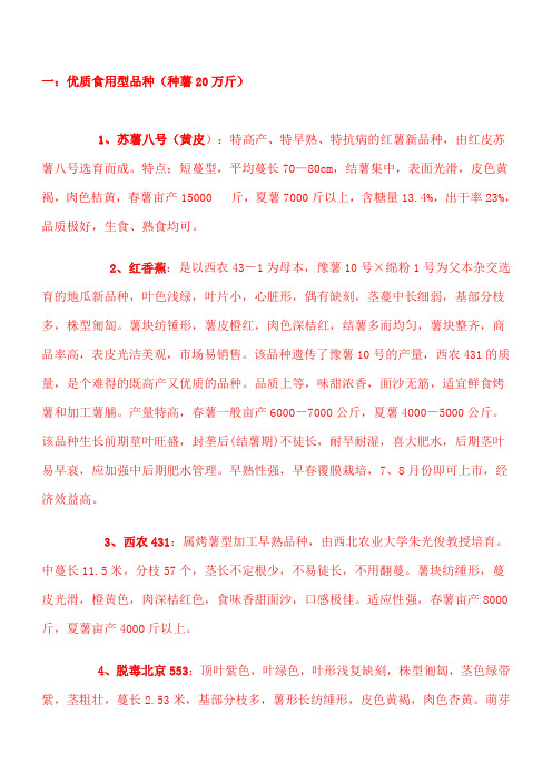 红薯品种介绍