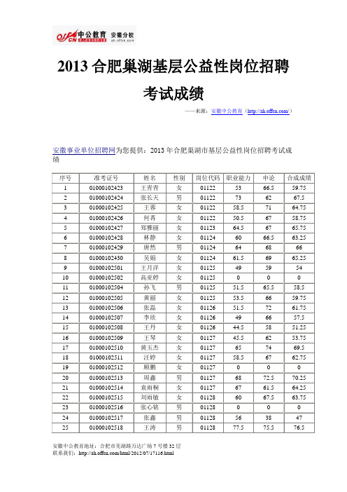 2013合肥巢湖基层公益性岗位招聘考试成绩
