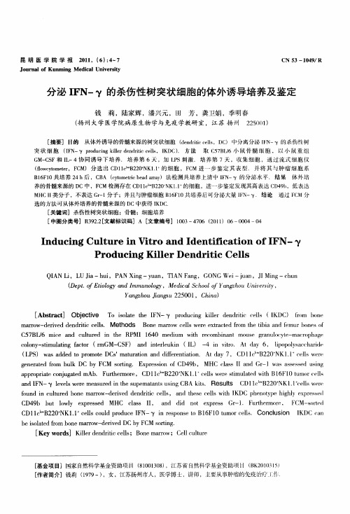 分泌IFN-γ的杀伤性树突状细胞的体外诱导培养及鉴定