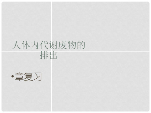 七年级生物下册 第三单元 第四章 人体内废物的排出复习课件 (新版)济南版