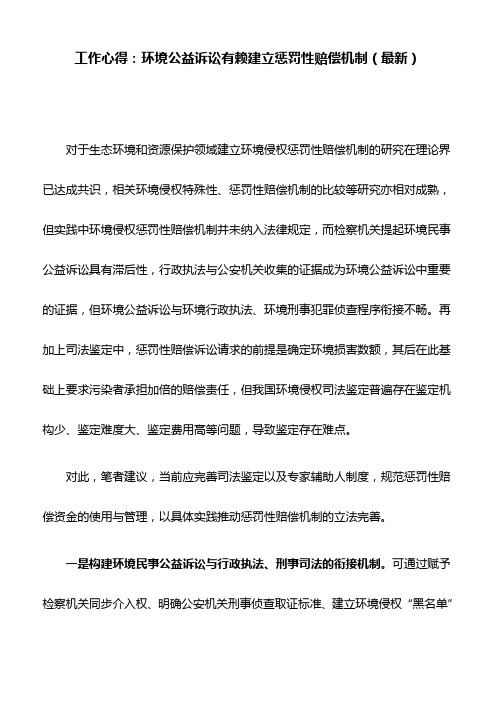 工作心得：环境公益诉讼有赖建立惩罚性赔偿机制(最新)