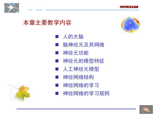 《神经网络理论基础》PPT课件