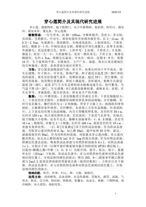 穿心莲简介及其现代研究进展