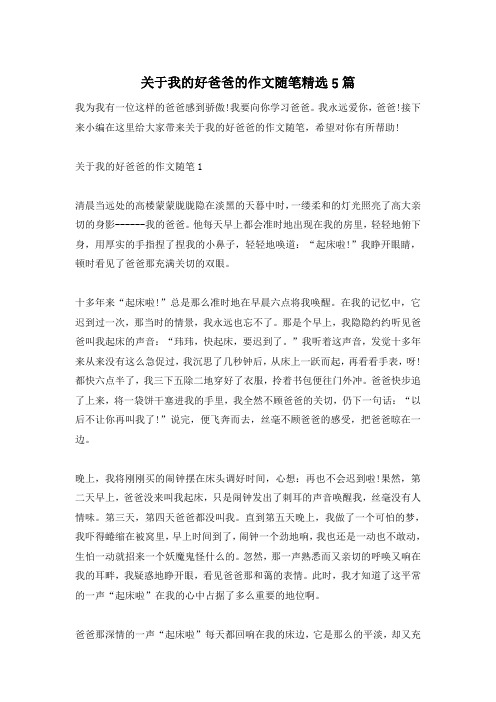 关于我的好爸爸的作文随笔精选5篇