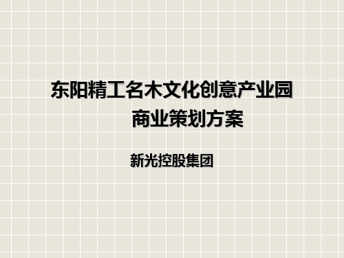 东阳精工名木文化产业园商业策划方案
