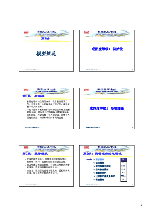 成熟度等级1