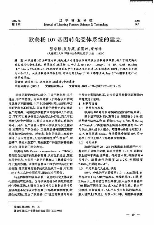 欧美杨107基因转化受体系统的建立