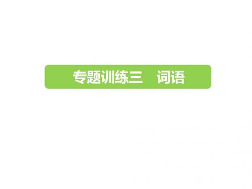 六年级下册语文课件-2019小升初-专题训练三 词语 全国通用 (共23张PPT)(图片版)