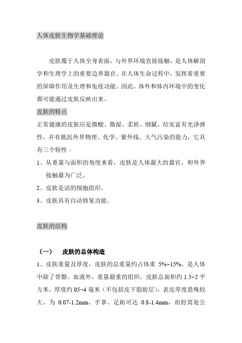 皮肤的构造