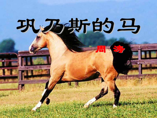 《巩乃斯的马》4PPT课件  图文