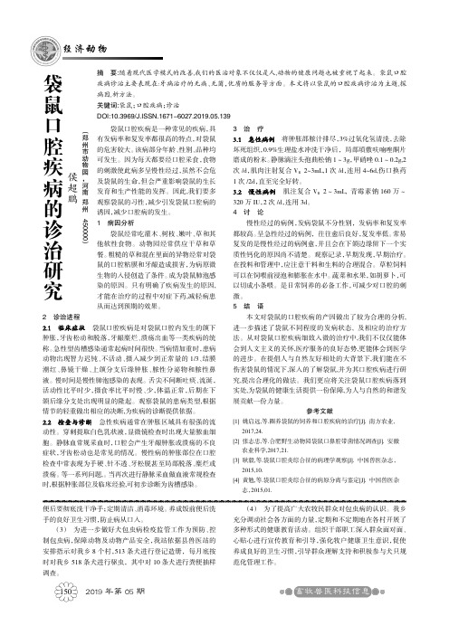 袋鼠口腔疾病的诊治研究