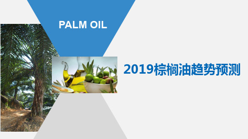 2019年-棕榈油趋势预测