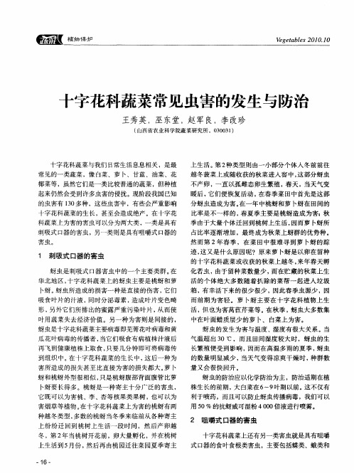 十字花科蔬菜常见虫害的发生与防治