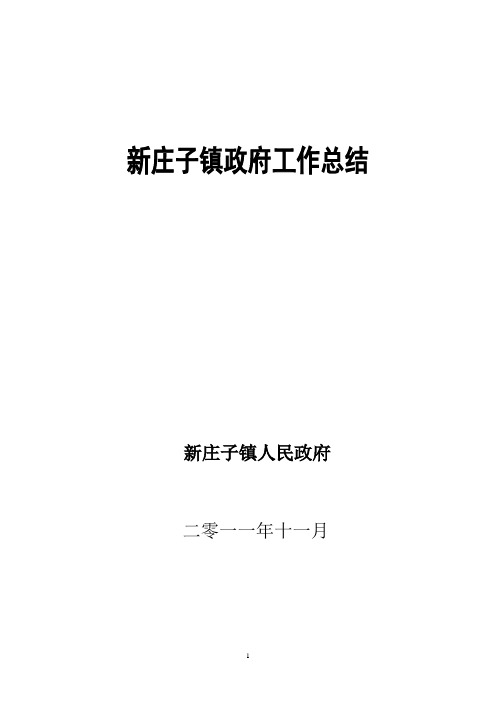 XX市XX镇政府2011年工作总结