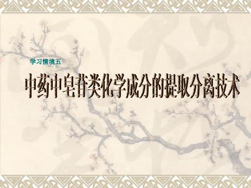 中药皂苷类化学成分的提取分离技术