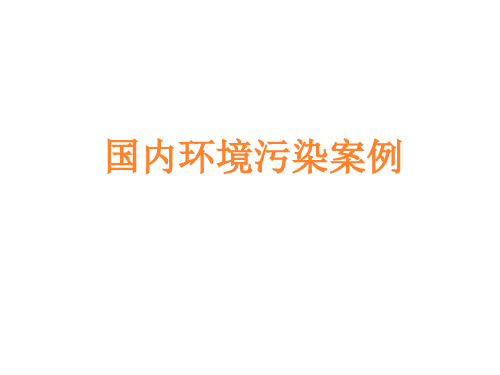 国内的环境污染案例