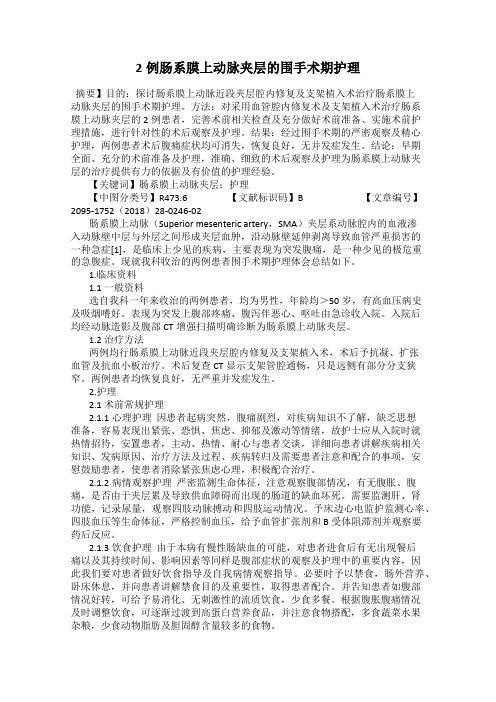 2例肠系膜上动脉夹层的围手术期护理
