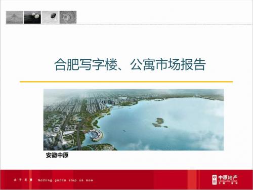 中原2013年合肥写字楼、公寓市场报告