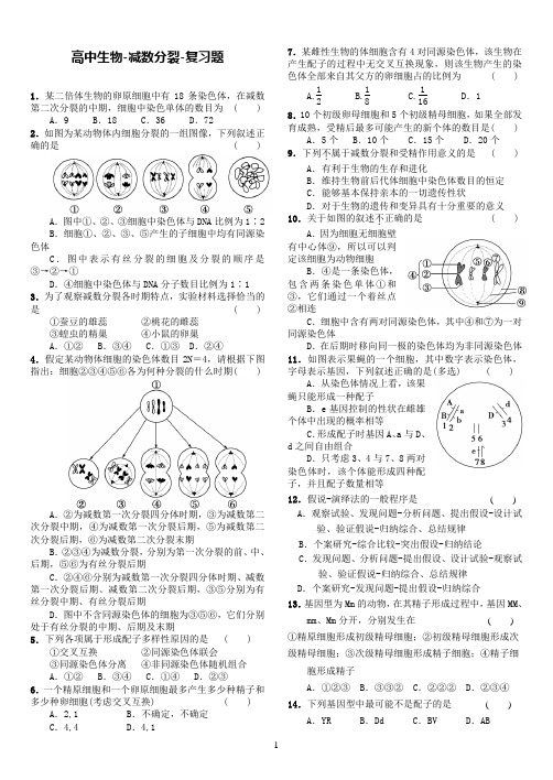 减数分裂习题精选