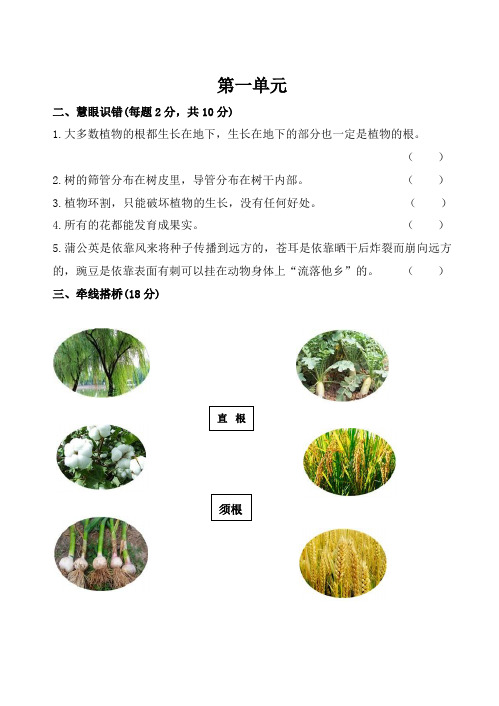 青岛版五四制三年级上册科学1~7单元测试题