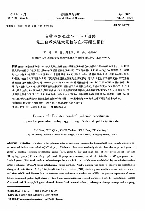 白藜芦醇通过Sirtuins1通路促进自噬减轻大鼠脑缺血／再灌注损伤