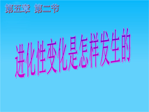 高中生物 第五章 第2节 进化性变化是怎样发生的课件 浙科版必修2