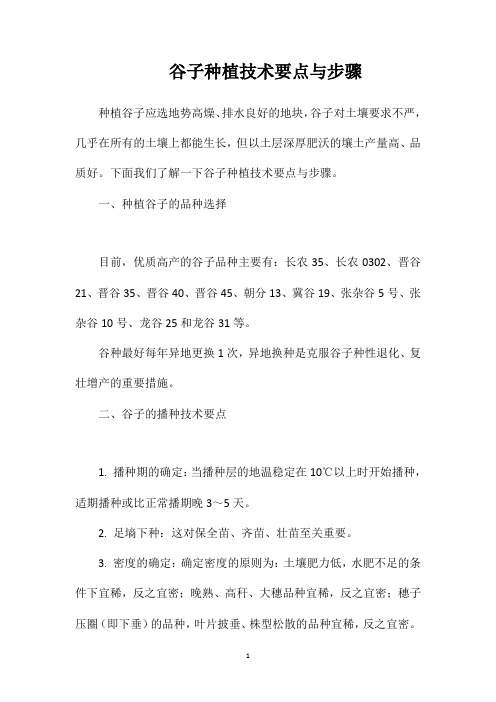 谷子种植技术要点与步骤