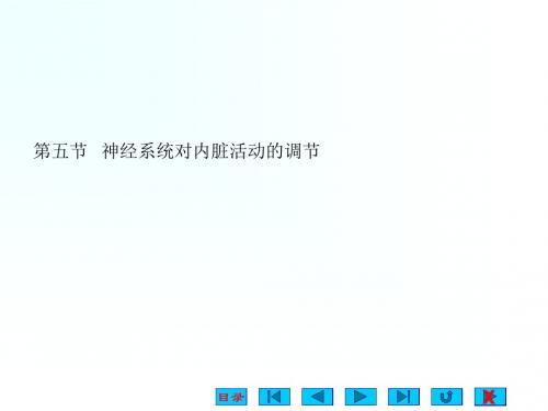 《神经系统对内脏》PPT课件