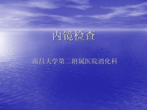 内镜检查