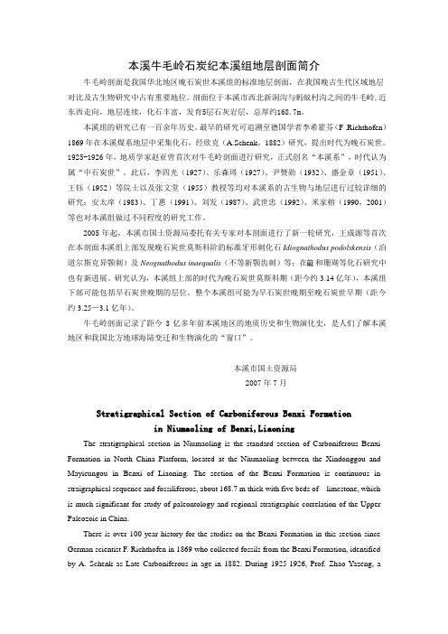 本溪牛毛岭石炭纪本溪组地层剖面简介
