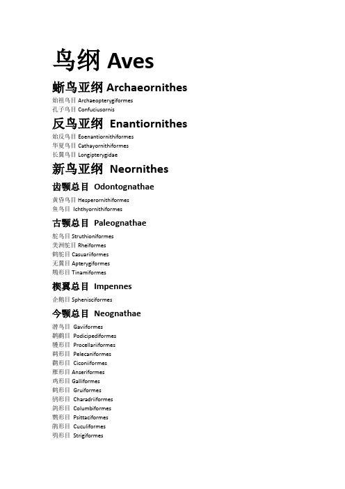 鸟类分类表
