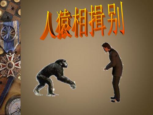 1.1 人猿相揖别(第一课时) 课件(人教版《历史与社会》八年级上)