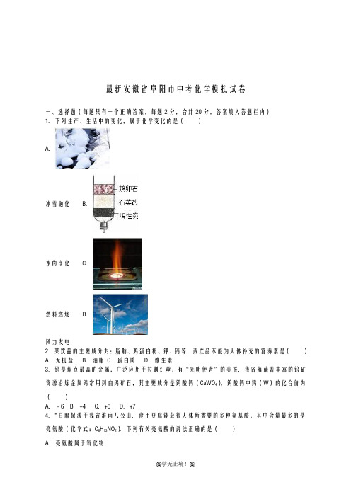 2020-2021学年安徽省阜阳市中考化学仿真模拟试题及答案解析