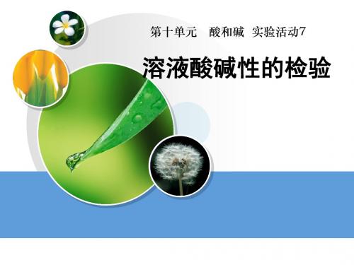 《溶液酸碱性的检验》酸和碱精品ppt课件