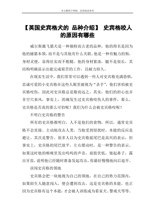 【英国史宾格犬的 品种介绍】 史宾格咬人的原因有哪些