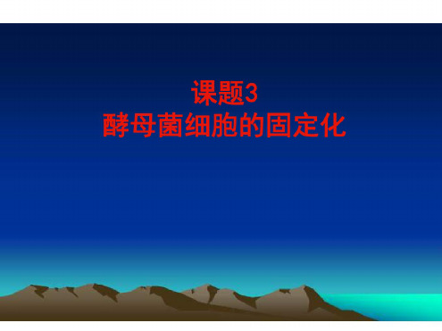 高一生物酵母菌细胞的固定化