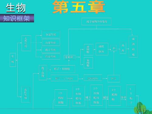 高考生物生物的生殖和发育课件