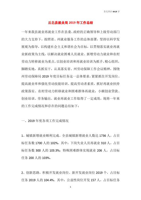 丘北县就业局2019年工作总结