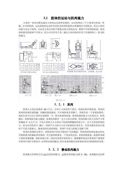 室内人机工程学8