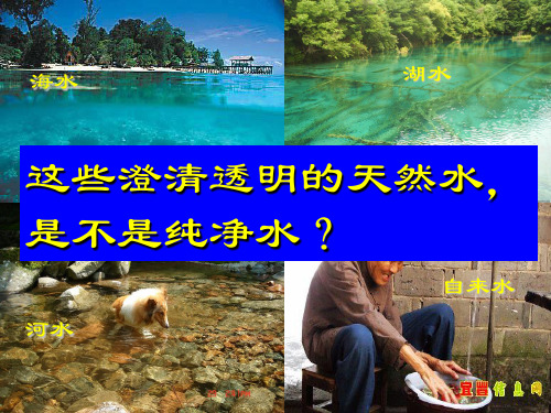 华师大版 七年级科学下册 第一章 第三节 水是常用的溶剂