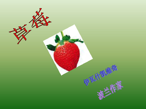 语文：1(PPT)4-4.4《草莓》课件(2)(语文版九年级上册)