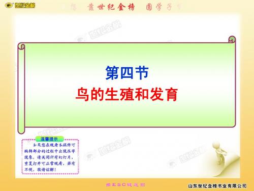 第四节  鸟的生殖和发育