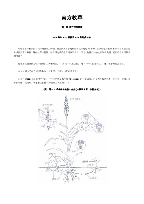 04南方牧草-第4章 南方牧草概述